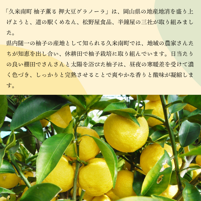 SOY MY LIFE 柚子グラノーラ
